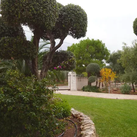 Forester - Puglia Mia